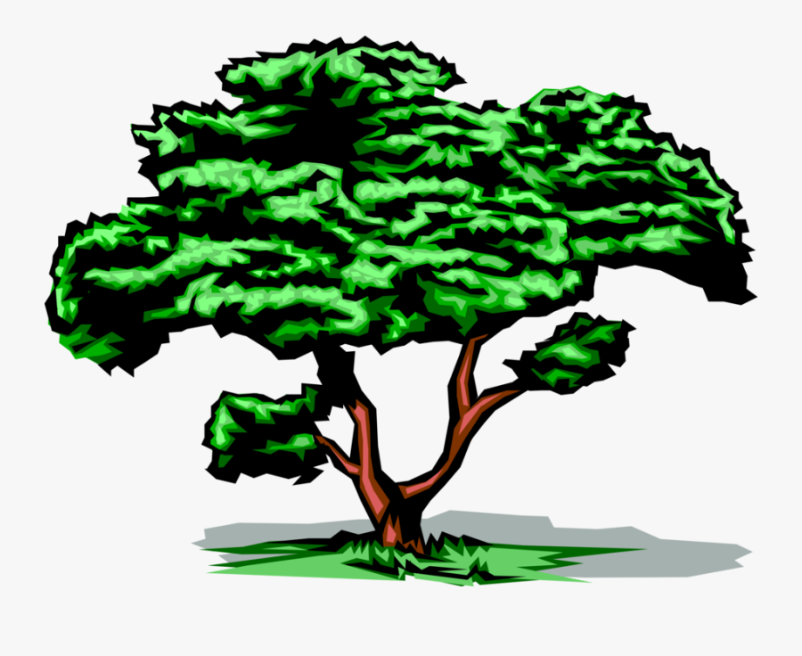 Vector Illustration Of Mature Deciduous Tree With Green - Trees Are Our Best Friends, Transparent Clipart