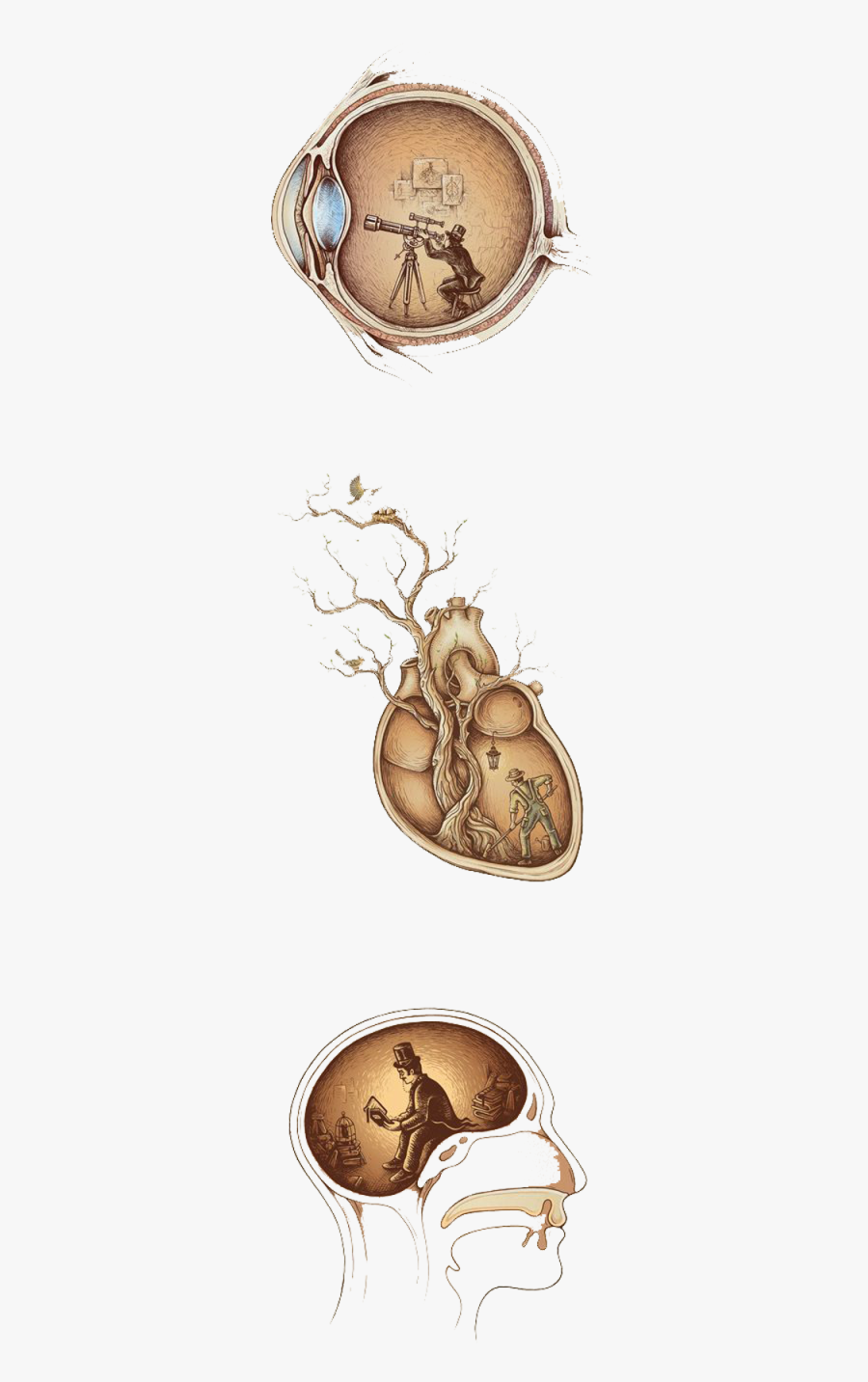 Tree Of Life Enkel Dika, Transparent Clipart