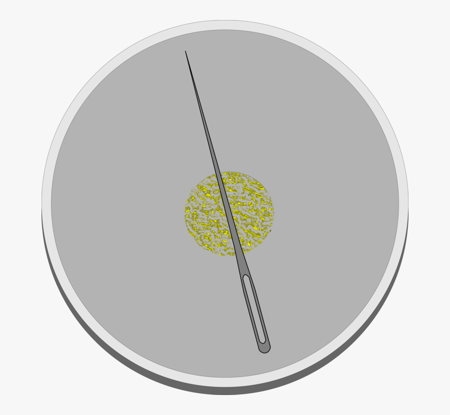 Circle,yellow,download - Circle, Transparent Clipart