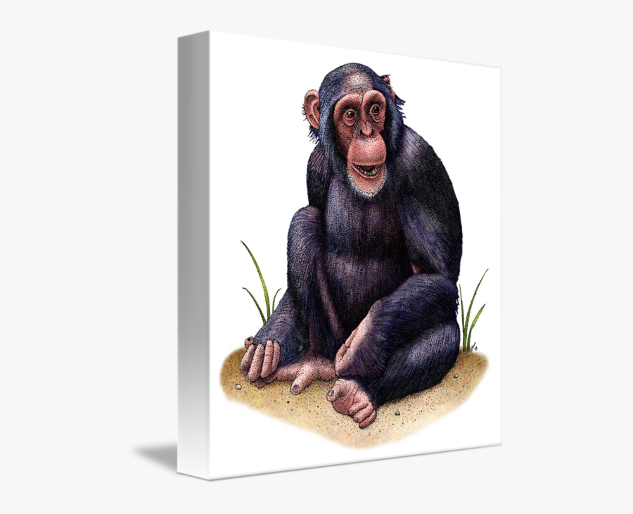 Chimp Drawing Pen - Chimpanzee Drawing With Color, Transparent Clipart