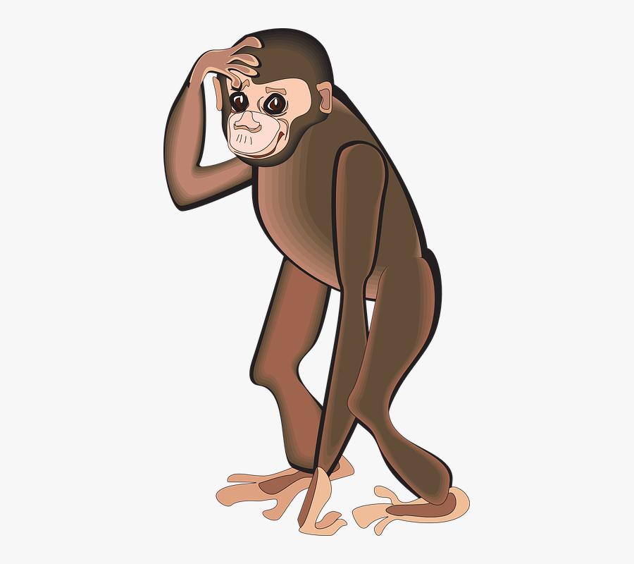 Chimp Smiling Png No Background, Transparent Clipart
