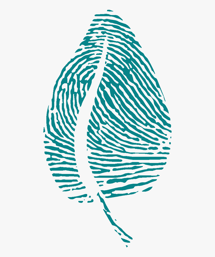 Leaf White Gc Turqouise - Illustration, Transparent Clipart