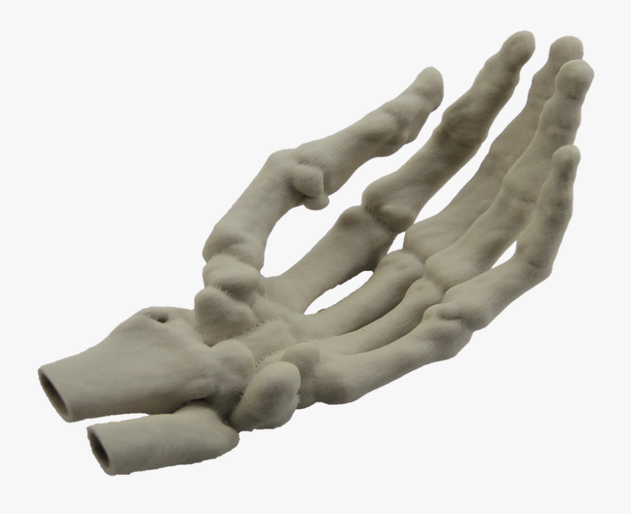 Hand Model Finger Human Skeleton - 3d Printed Skeleton Hand, Transparent Clipart
