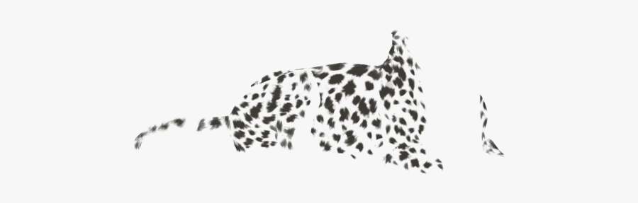 African Leopard, Transparent Clipart