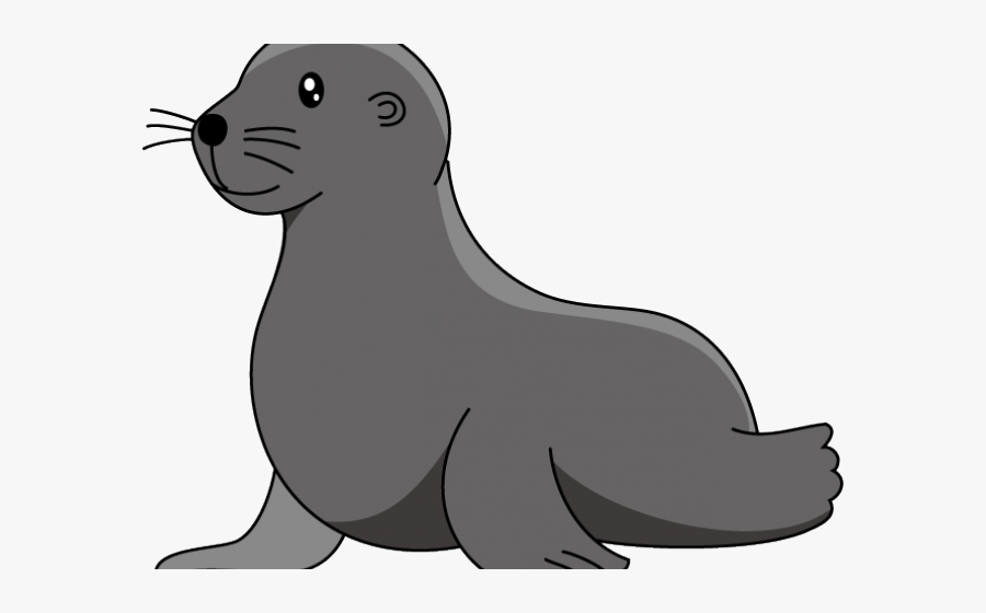 Transparent Sea Lion Clipart, Transparent Clipart