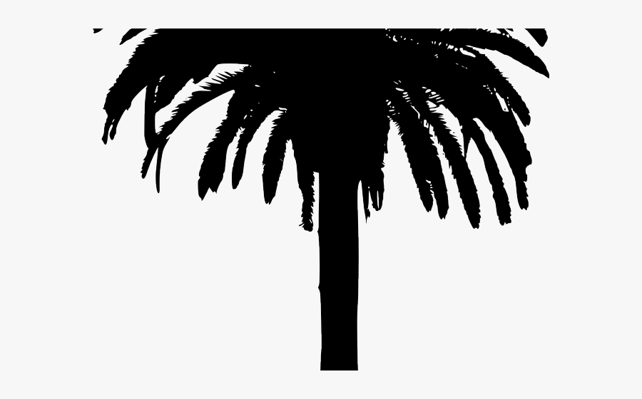 Transparent Bamboo Clipart - Drawn Palm Tree Silhouette, Transparent Clipart