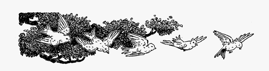 Illustration, Transparent Clipart