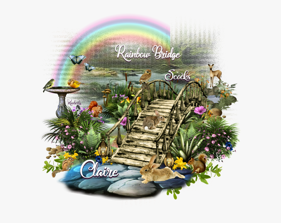 Fotki - Rainbow - Yazgulu, Transparent Clipart