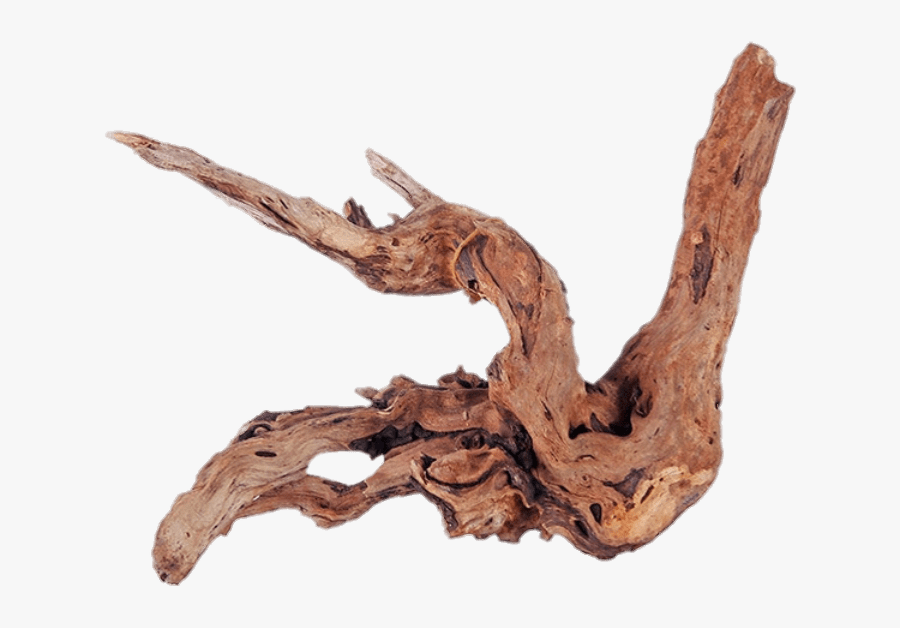 Driftwood - Driftwood Png, Transparent Clipart