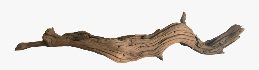 Koyal California Chairish Clipart Royalty Free Download - Drift Wood Transparent Background, Transparent Clipart