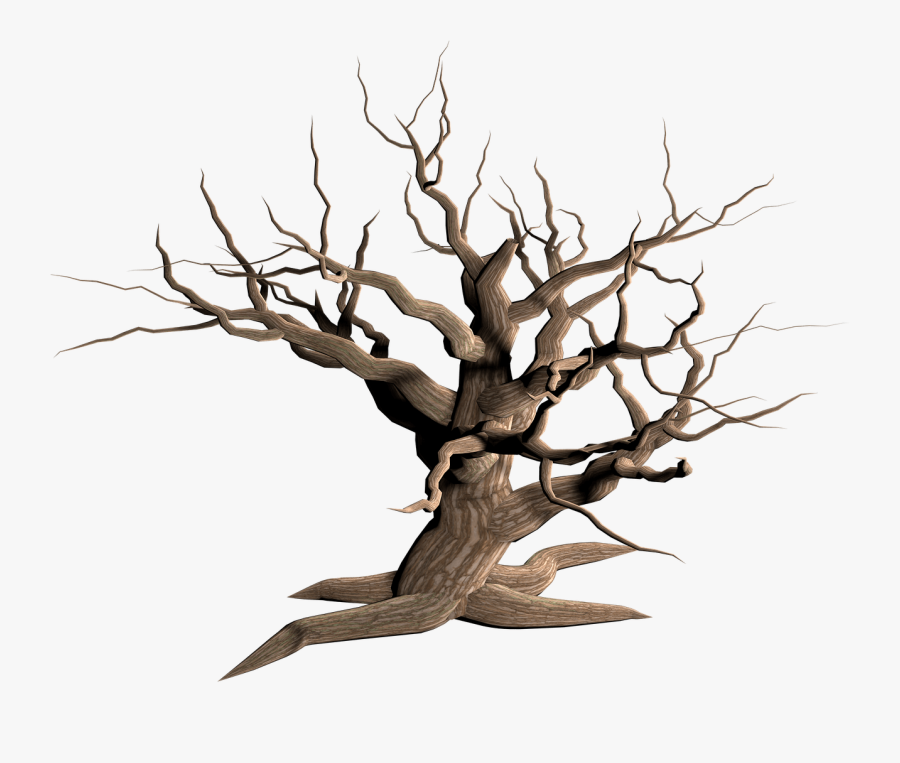 Driftwood - Transparent Background Dry Tree Png, Transparent Clipart
