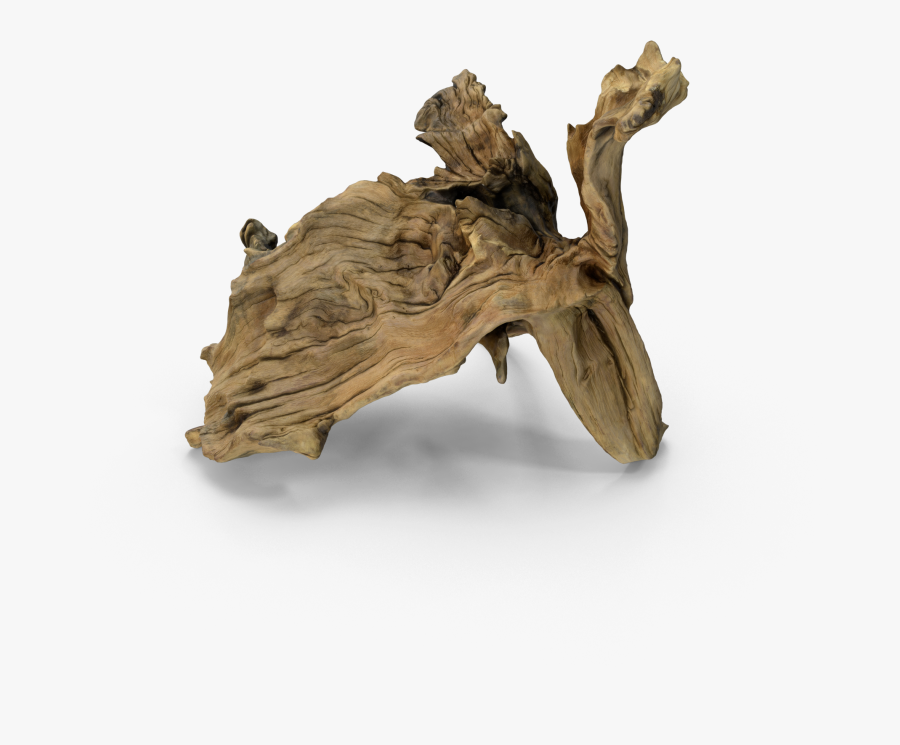 Driftwood, Transparent Clipart