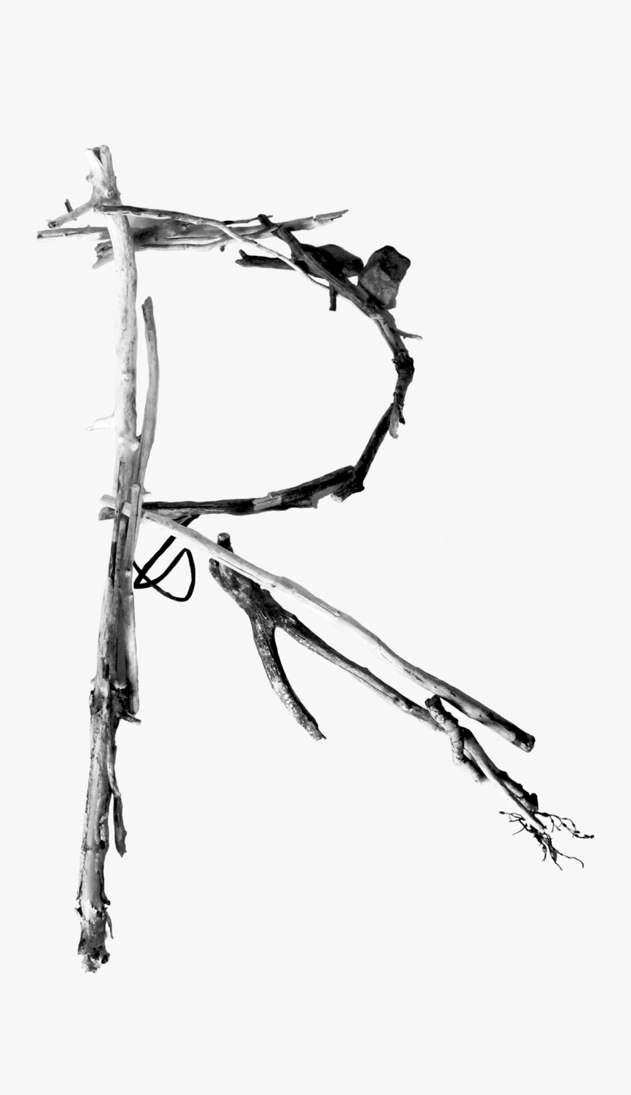 Driftwood Designinquiry - Sketch, Transparent Clipart