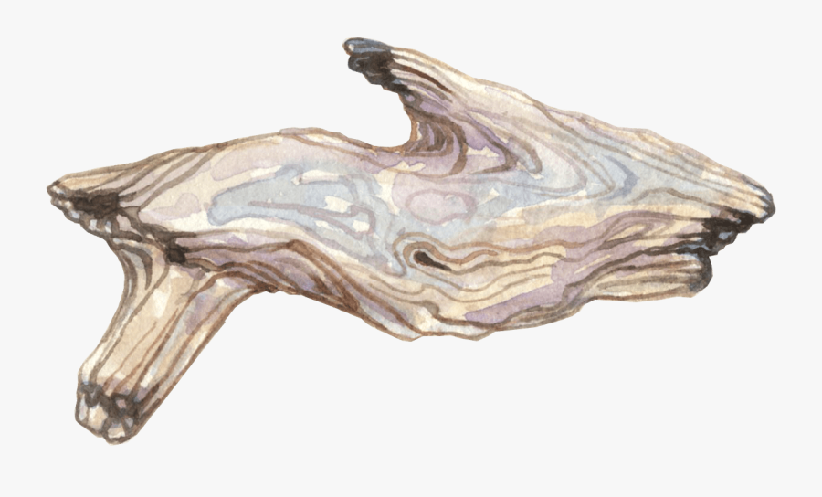 Ottiliascribbles June Full Resolution Transparent Background - Driftwood, Transparent Clipart