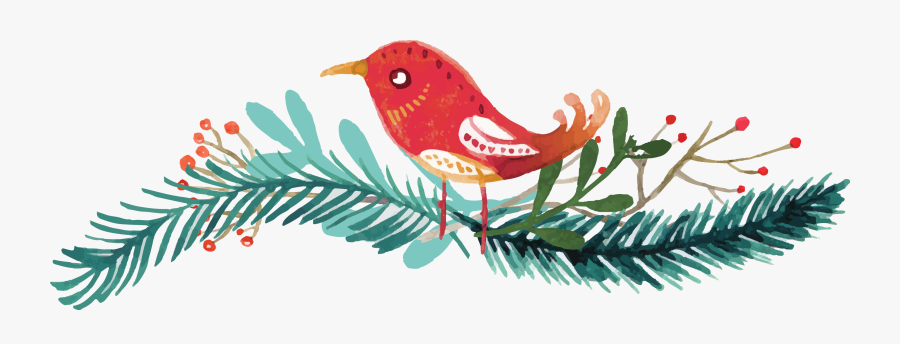 Christmas-cluster - Perching Bird, Transparent Clipart