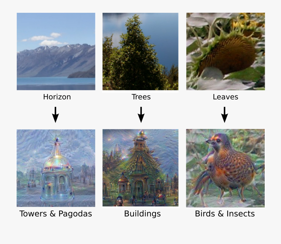 Google Deep Dream Nature, Transparent Clipart