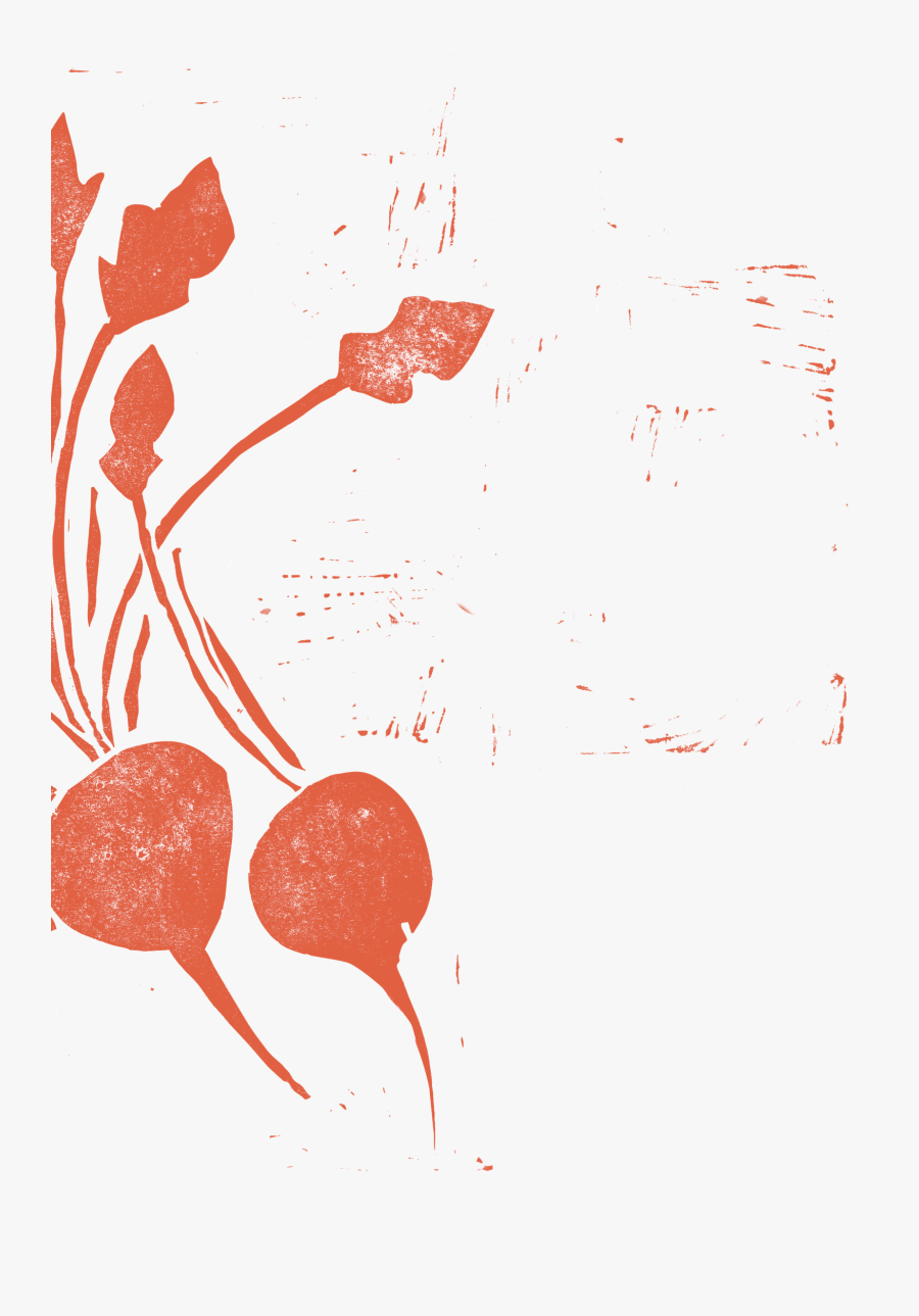 Transparent Beetroot Png - Illustration, Transparent Clipart