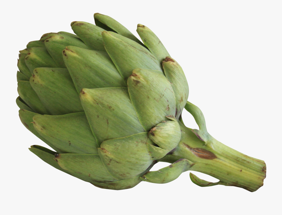 Artichoke Png Image - Artichoke Png, Transparent Clipart