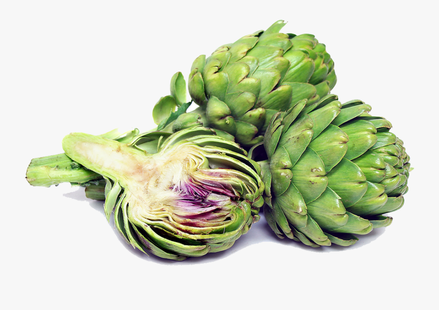 Artichokes Png, Transparent Clipart