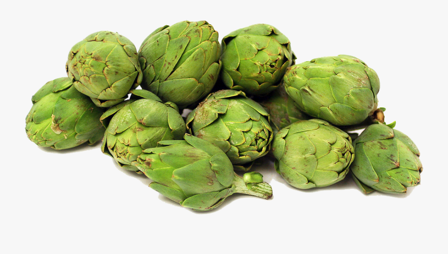 Download Artichokes Png File - Artichoke Png, Transparent Clipart