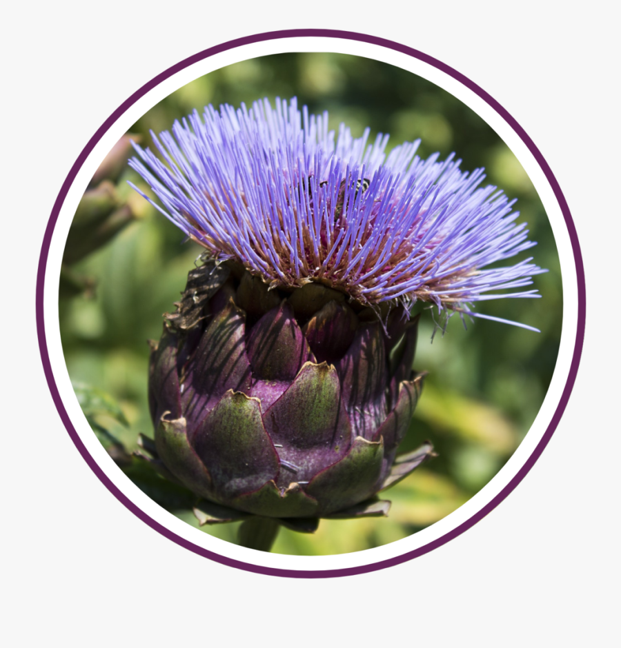 Clip Art Get To The Heart, Transparent Clipart