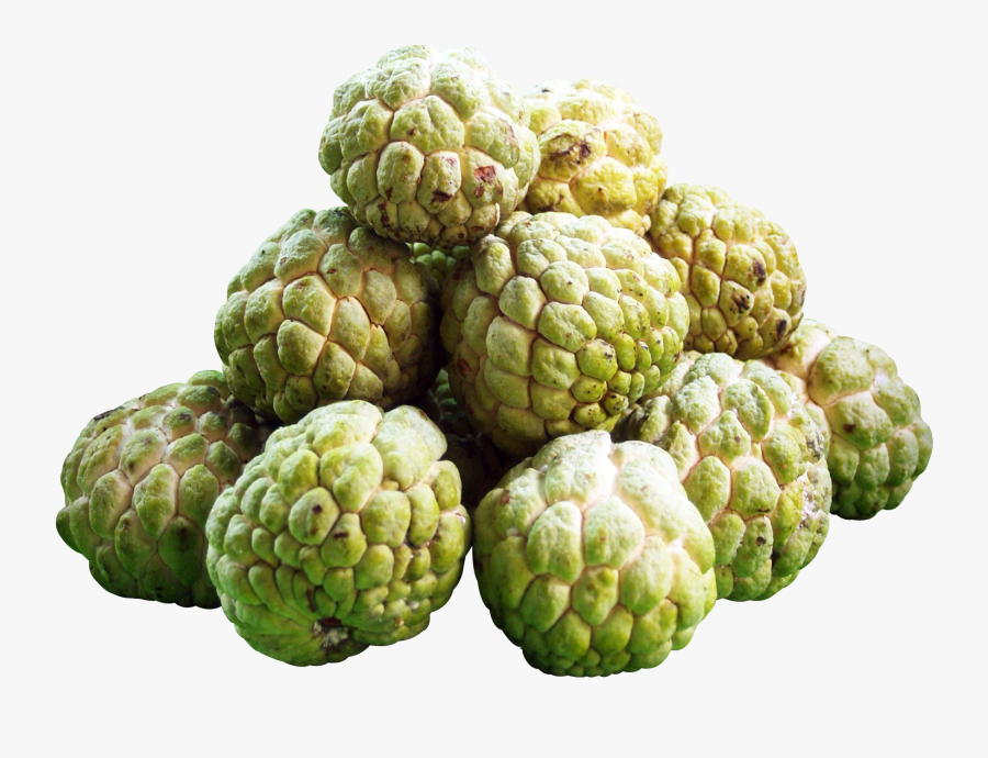 Transparent Artichoke Clipart - Custard Apple Png Img, Transparent Clipart