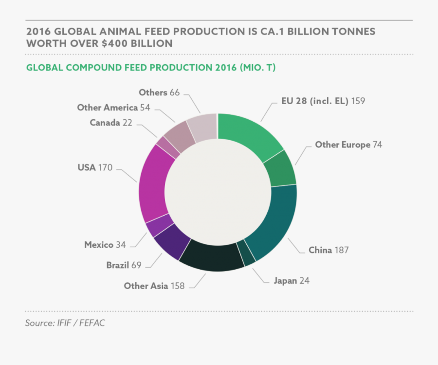 Circle, Transparent Clipart