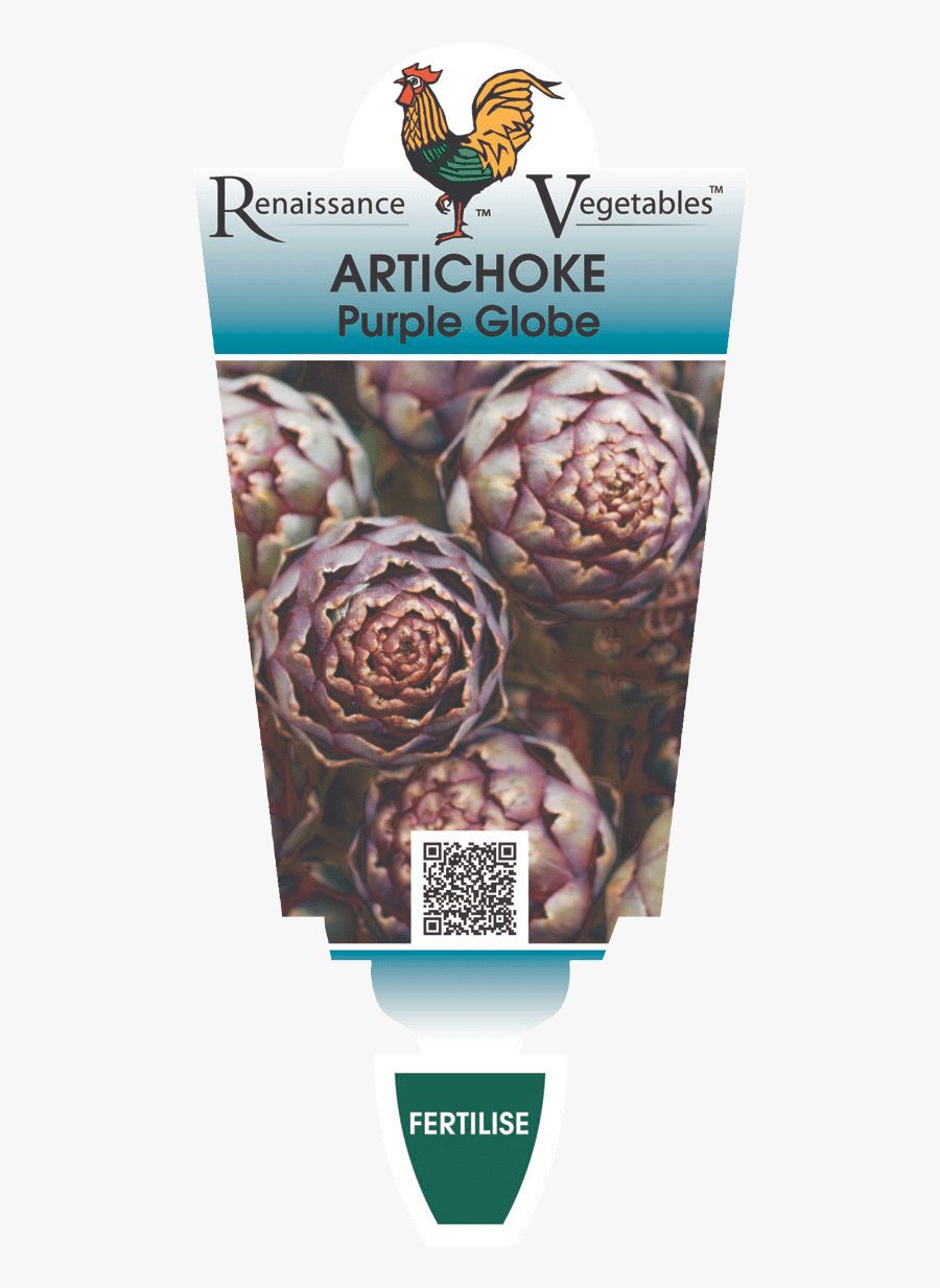 Artichoke Purple Globe - Artichoke, Transparent Clipart