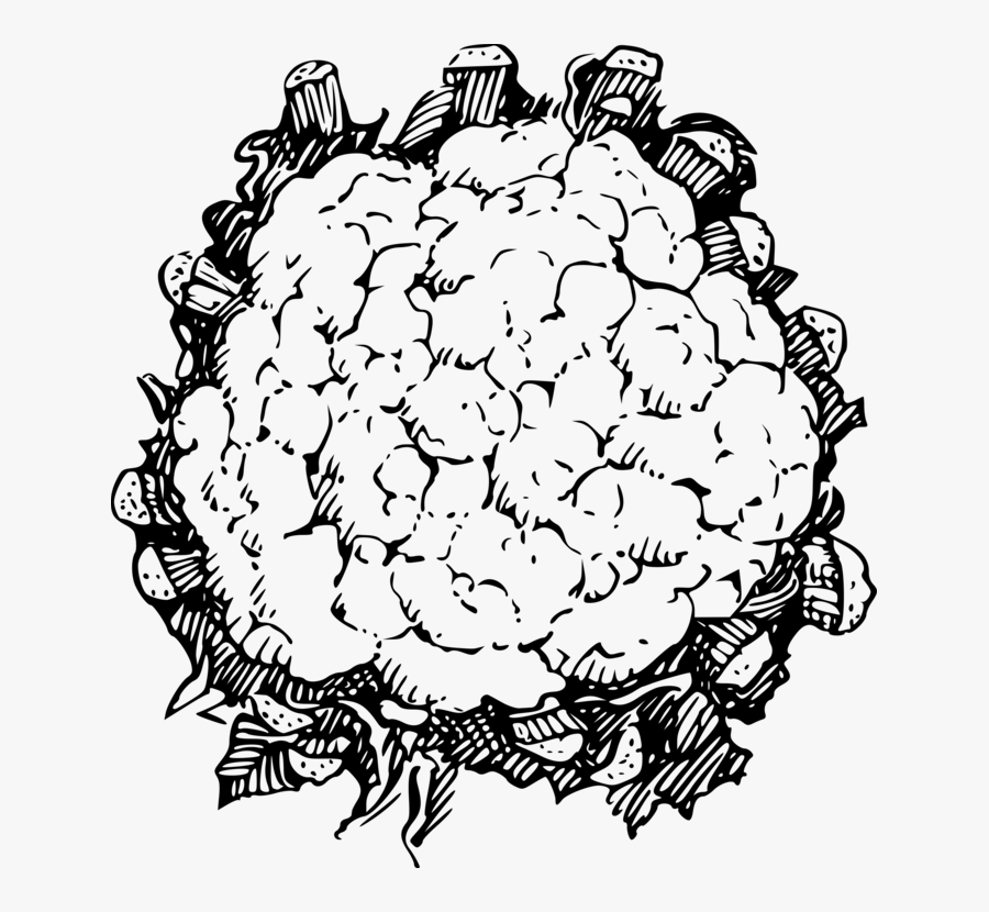 Transparent Broccoli Clipart Black And White - Cauliflower Black And White, Transparent Clipart
