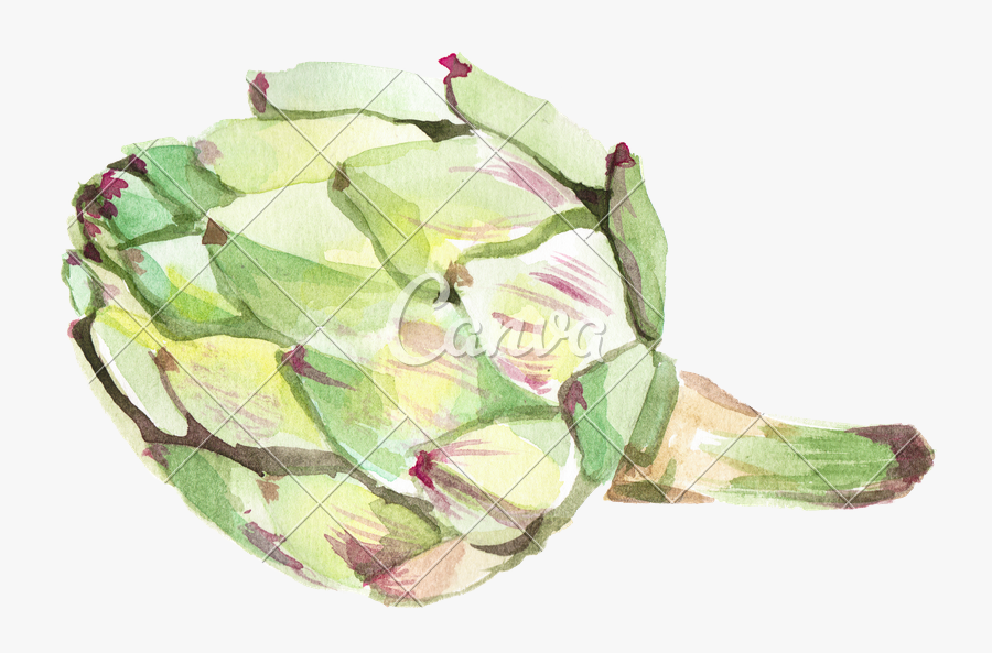 Watercolor Artichoke - Watercolor Vegetable, Transparent Clipart