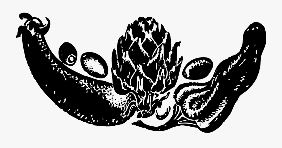 Visual Arts,plant,art - Illustration, Transparent Clipart