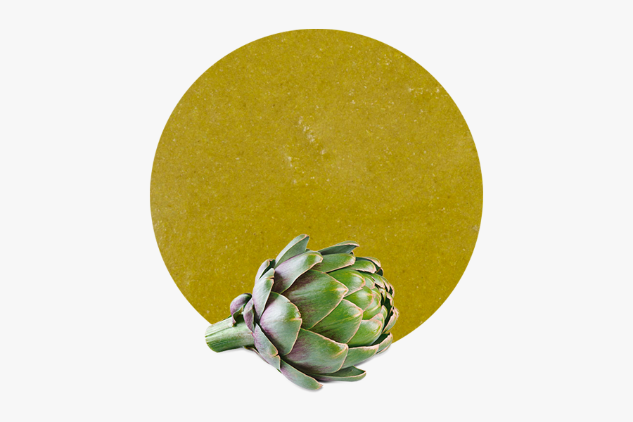 Artichoke, Transparent Clipart