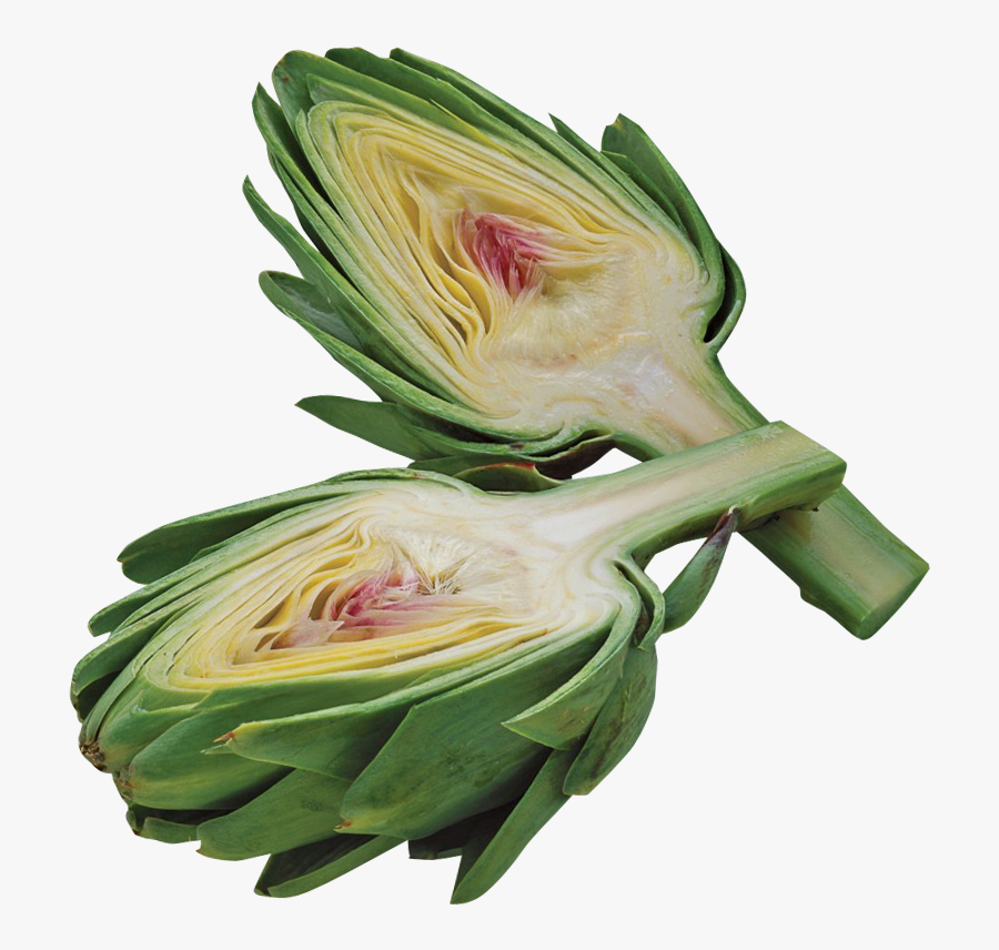 Artichoke Png Image - Artichoke Png, Transparent Clipart