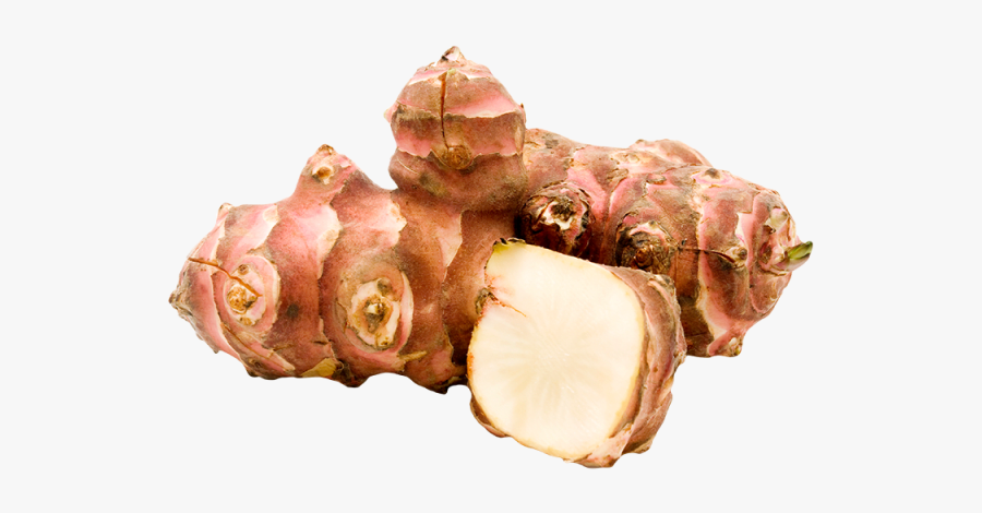 Jerusalem Artichokes Png Transparent Images - Jerusalem Artichoke In Romanian, Transparent Clipart