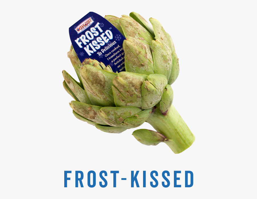 Artichoke, Transparent Clipart