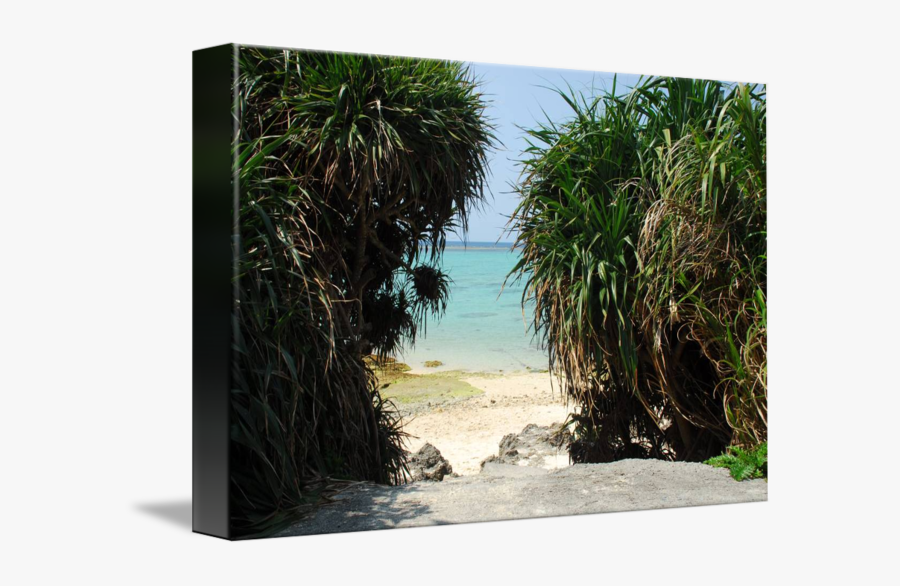 Transparent Shore Clipart - Beach, Transparent Clipart