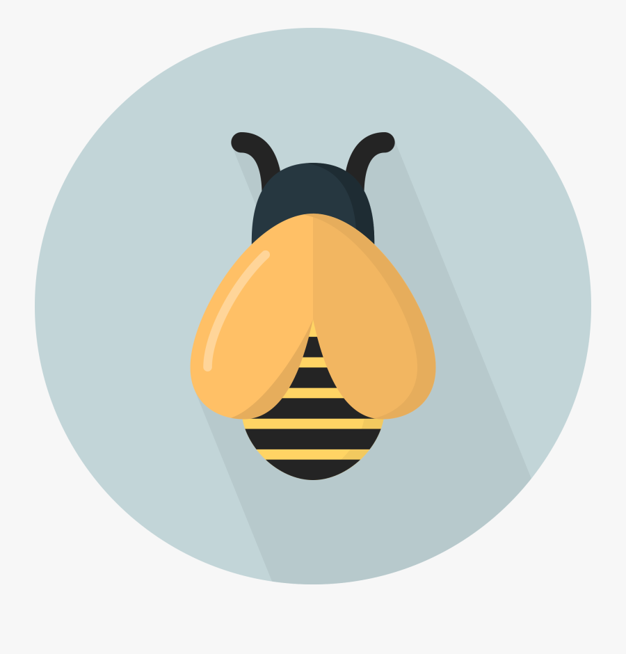 Shore, Sports Therapy - Bee, Transparent Clipart