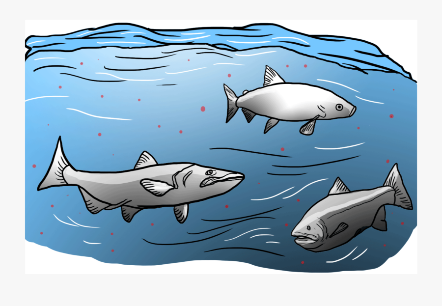 Ocean Pollution Animal Drawings, Transparent Clipart