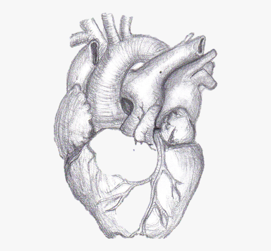 Your The Reason My Heart Beats, Transparent Clipart