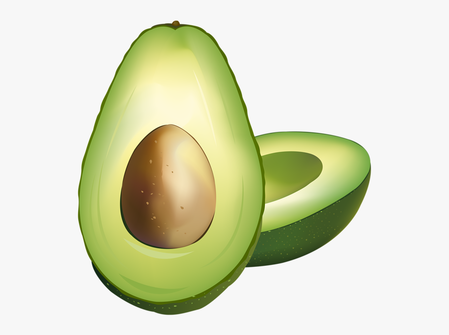 Clip Art Clipart Avocado - Transparent Background Avocado Clipart, Transparent Clipart