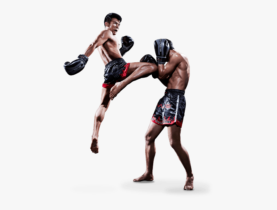 Muay Thai Png - Muay Thai, Transparent Clipart