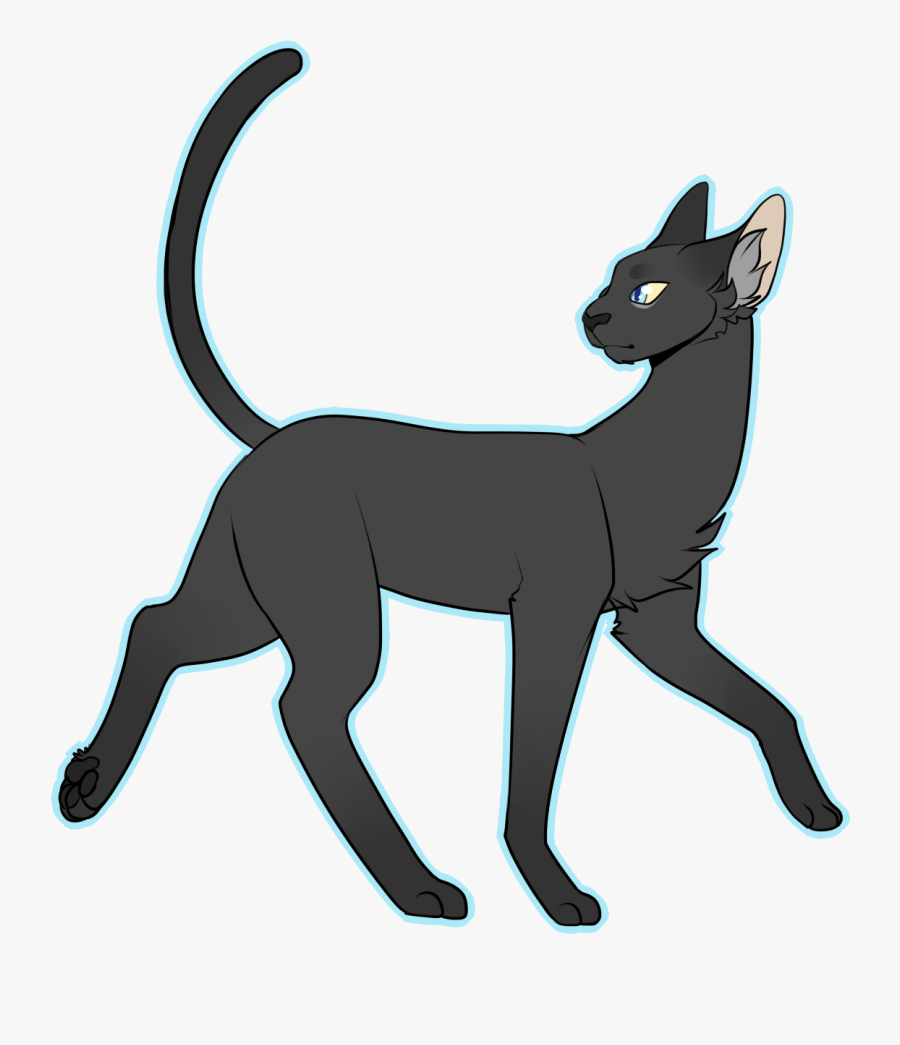 Simple Draw All The Cats - Warrior Cat Drawing Full Body, Transparent Clipart