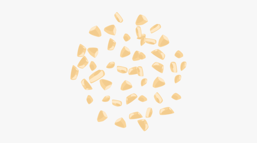 Still Life Photography, Transparent Clipart