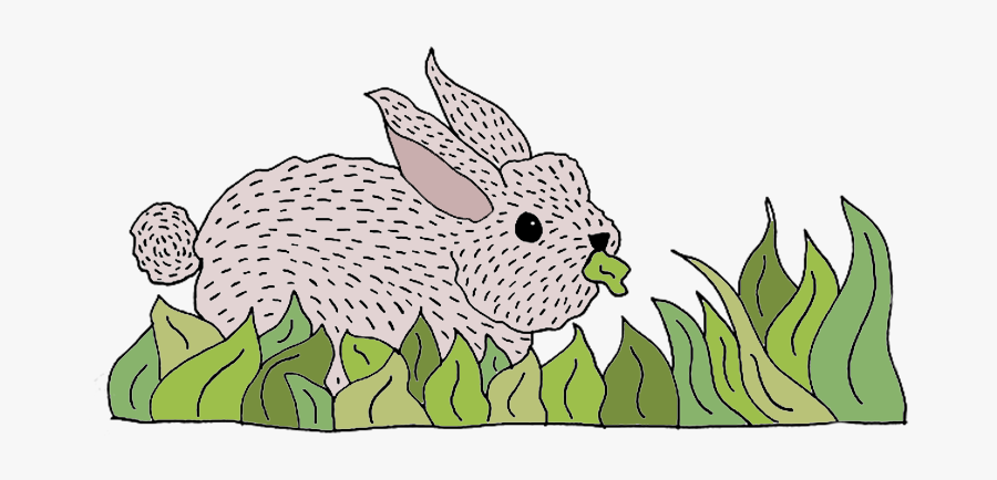 Domestic Rabbit, Transparent Clipart