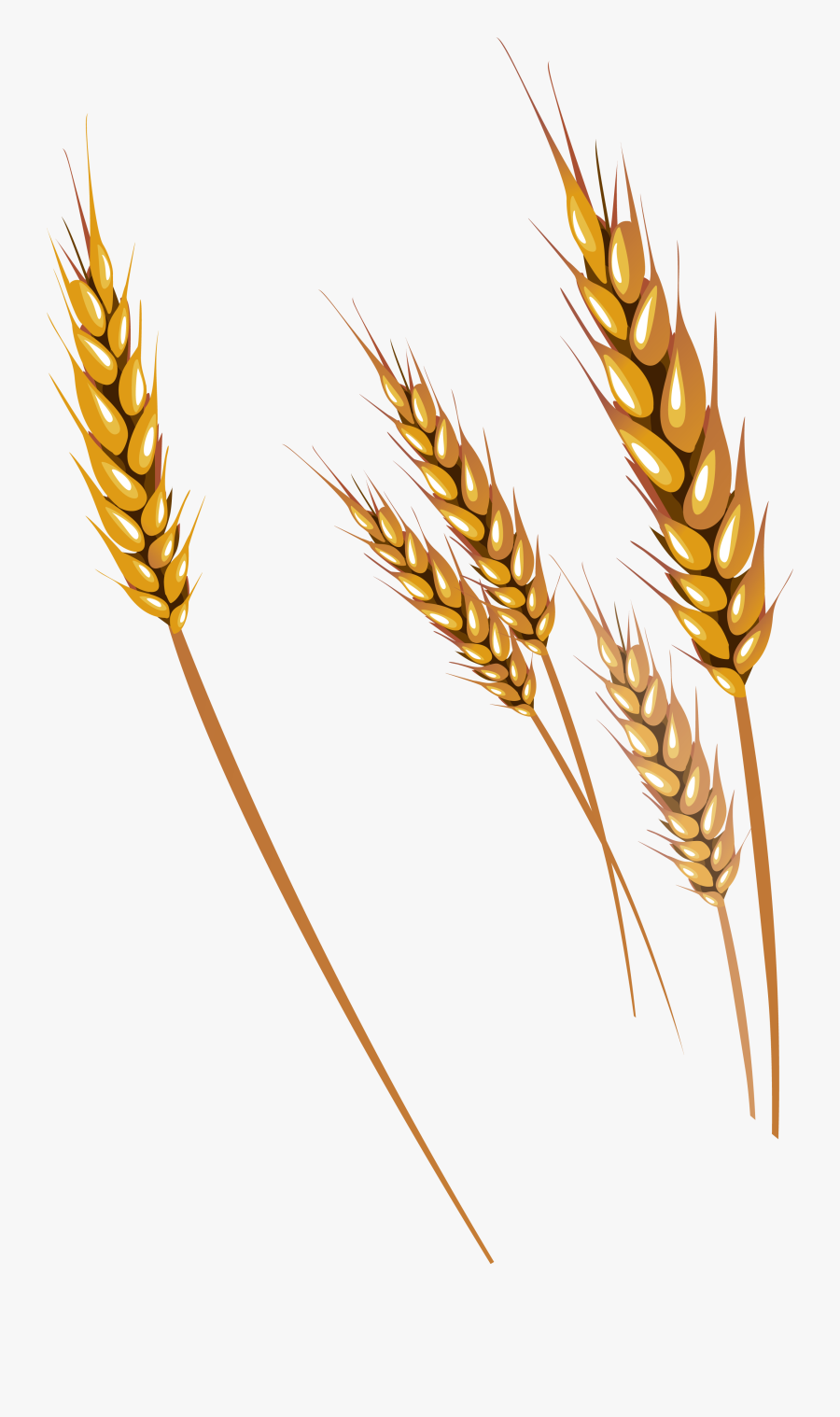 For Mobile - Wheat Png, Transparent Clipart