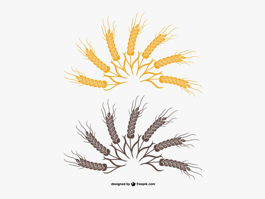 Illustration, Transparent Clipart