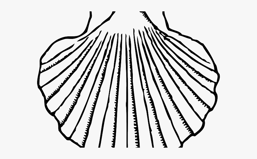 Clip Art Clip Mussel Huge - Shells Clipart Black And White, Transparent Clipart