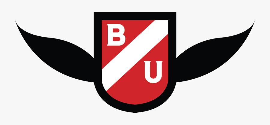 I Play Quidditch A Sport Adapted From The Game Played - Graphic Design, Transparent Clipart