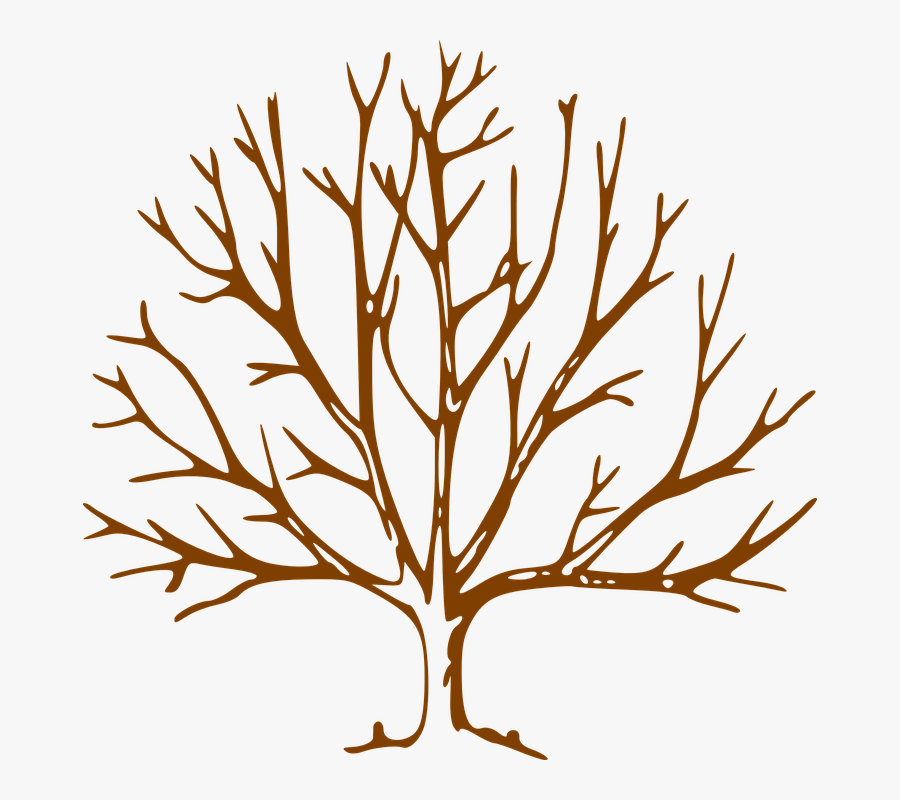 Apple Tree Silhouette 16, Buy Clip Art - Nigger Of The Narcissus A Tale, Transparent Clipart