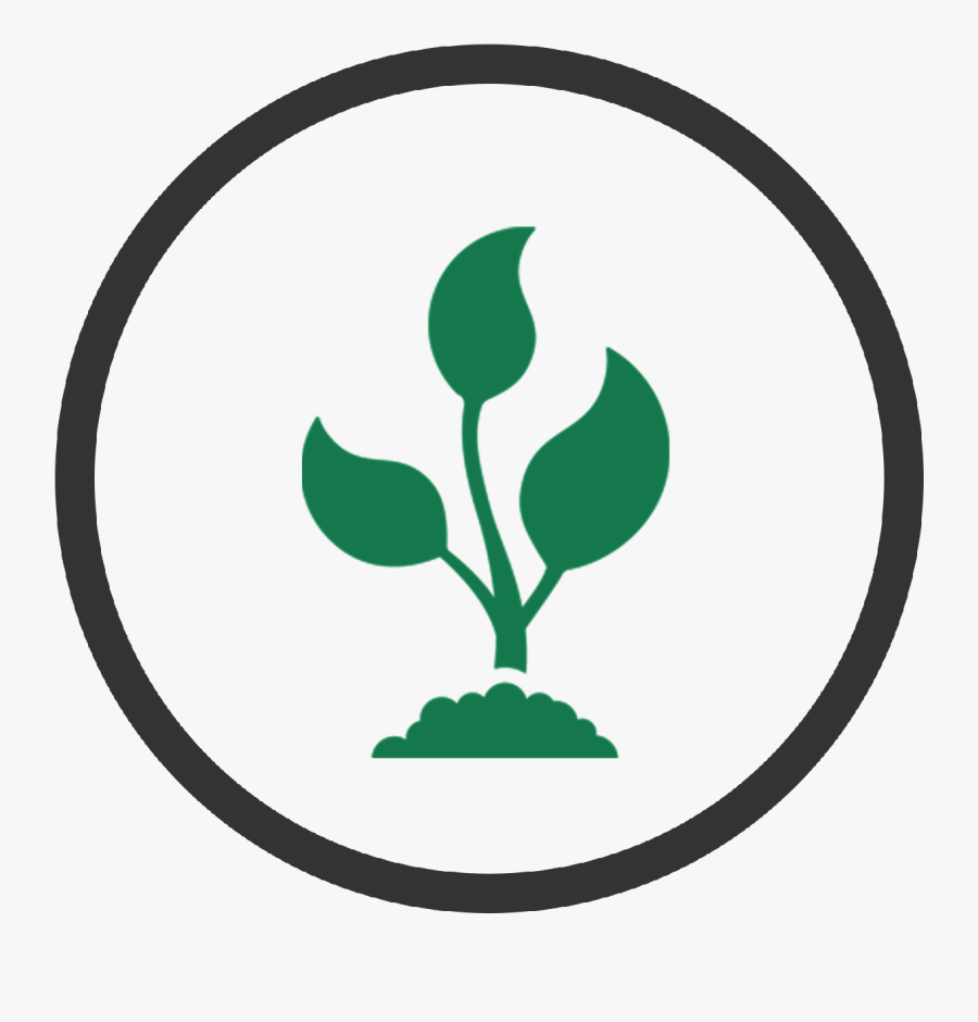 Star Beej Seeds Promotions - Agriculture Icon Vector Png, Transparent Clipart